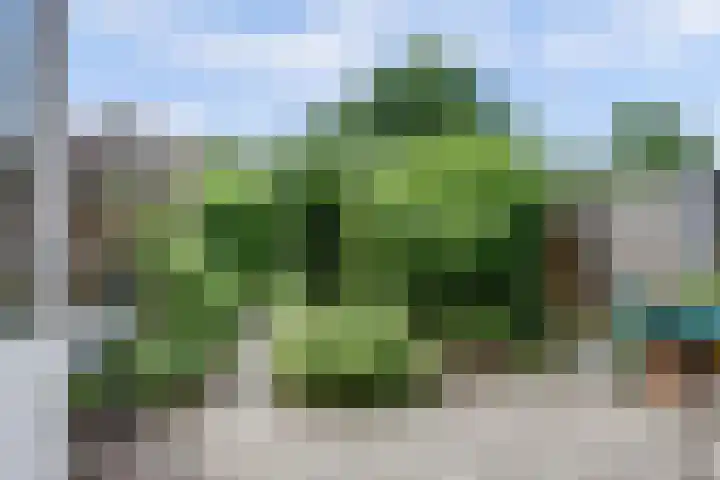 Houtzaagmolen 37 Heerhugowaard thumbnail 31