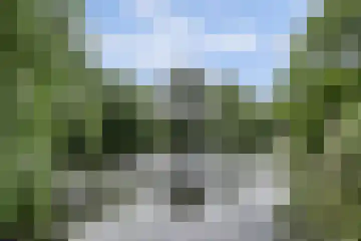 Houtzaagmolen 37 Heerhugowaard thumbnail 35