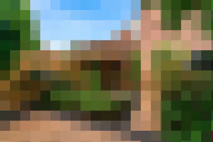 Houtzaagmolen 40 Hoorn thumbnail 22
