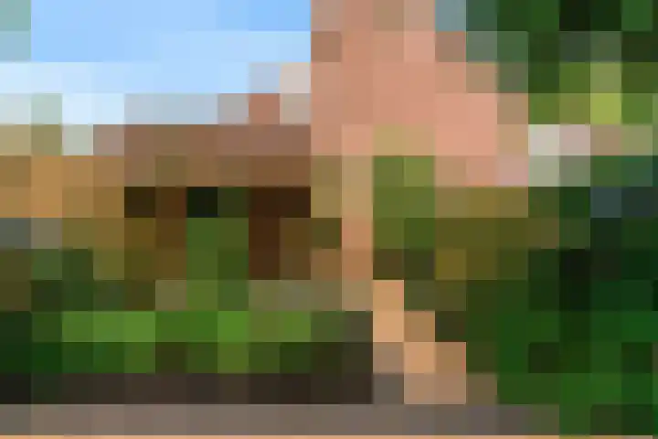 Houtzaagmolen 40 Hoorn thumbnail 23
