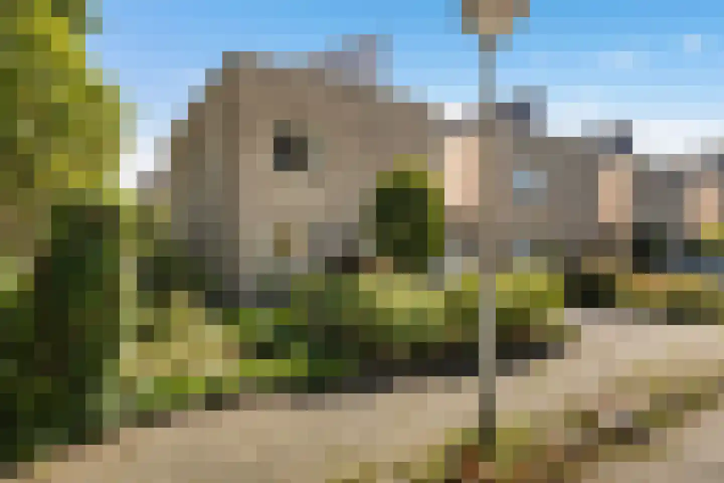 Houtzaagmolen 46 Drachten thumbnail 10