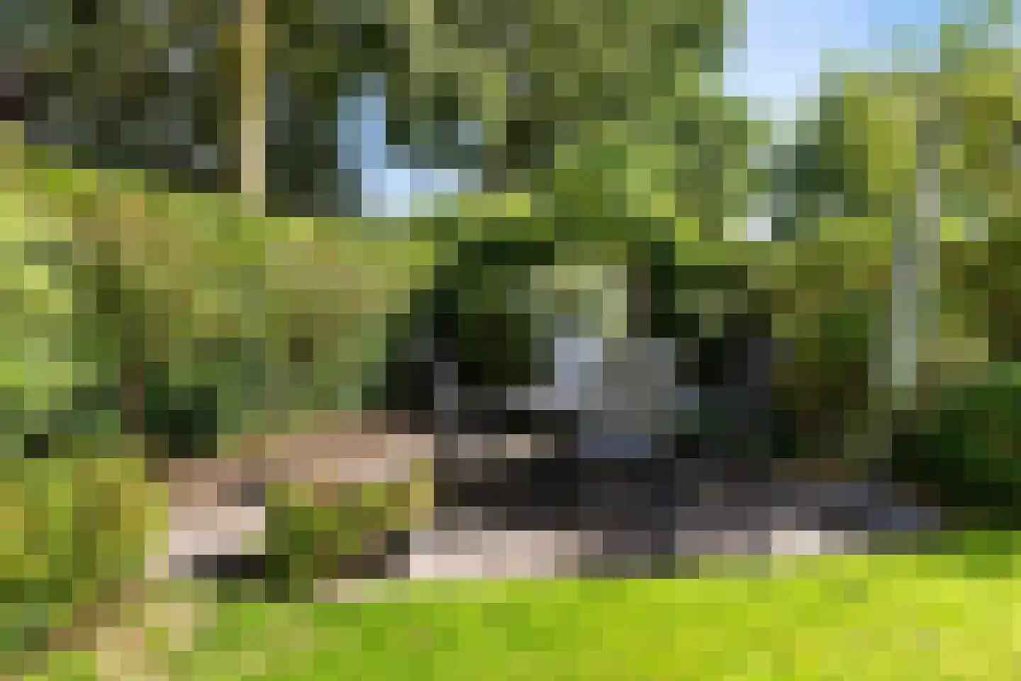 Houtzaagmolen 46 Drachten thumbnail 43
