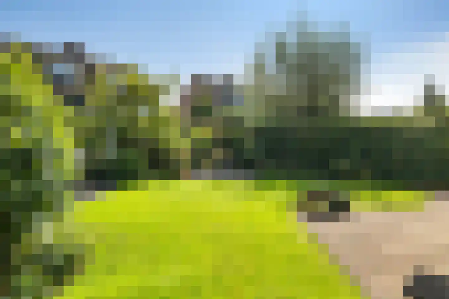 Houtzaagmolen 46 Drachten thumbnail 44
