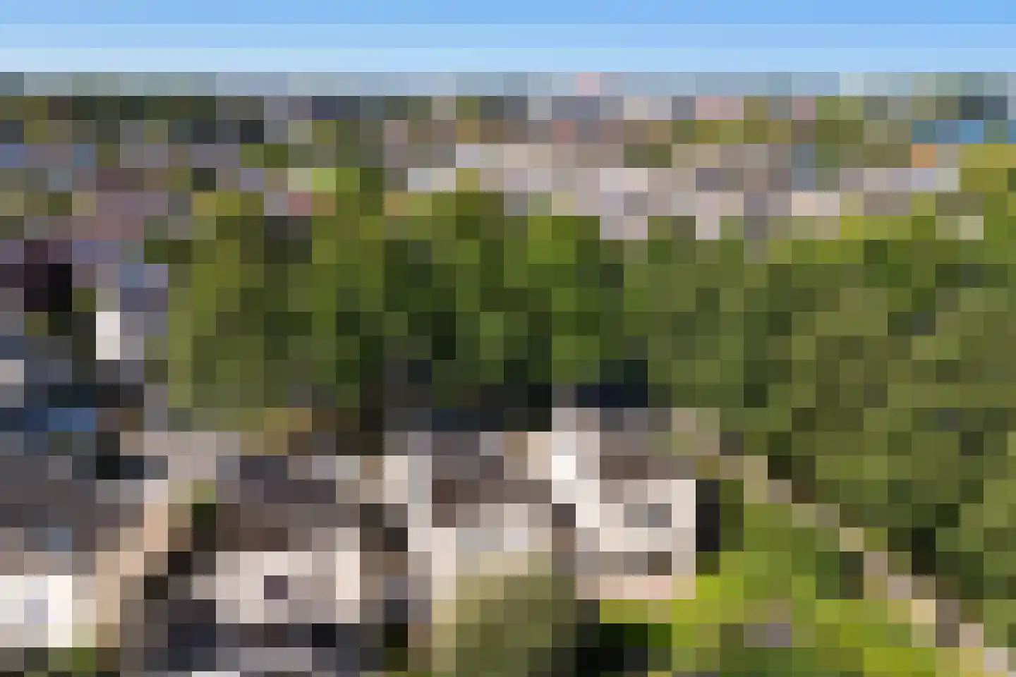 Houtzaagmolen 46 Drachten thumbnail 47