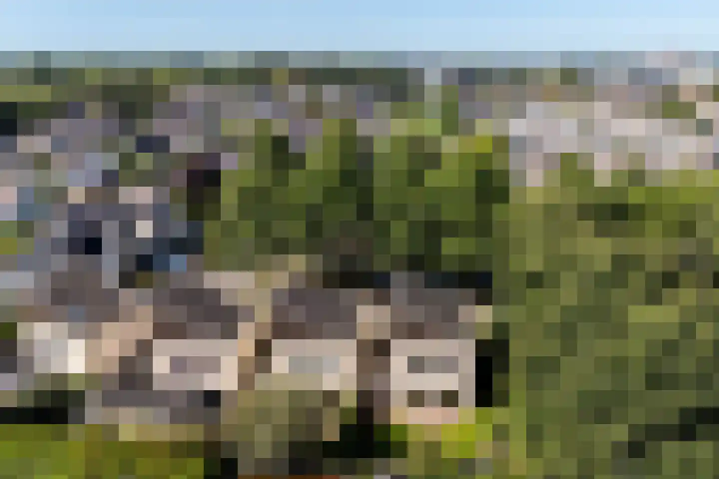 Houtzaagmolen 46 Drachten thumbnail 48