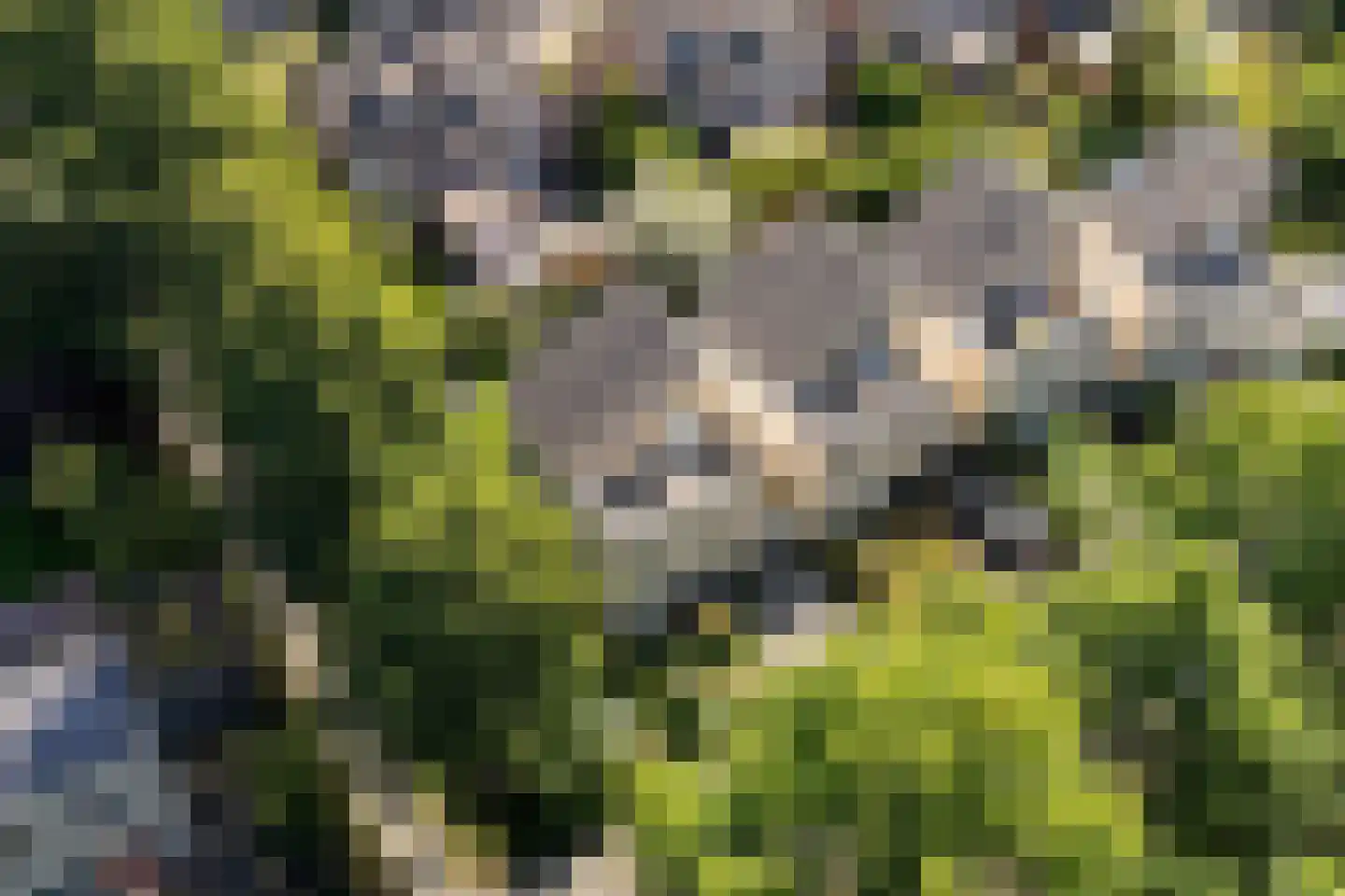 Houtzaagmolen 46 Drachten thumbnail 6