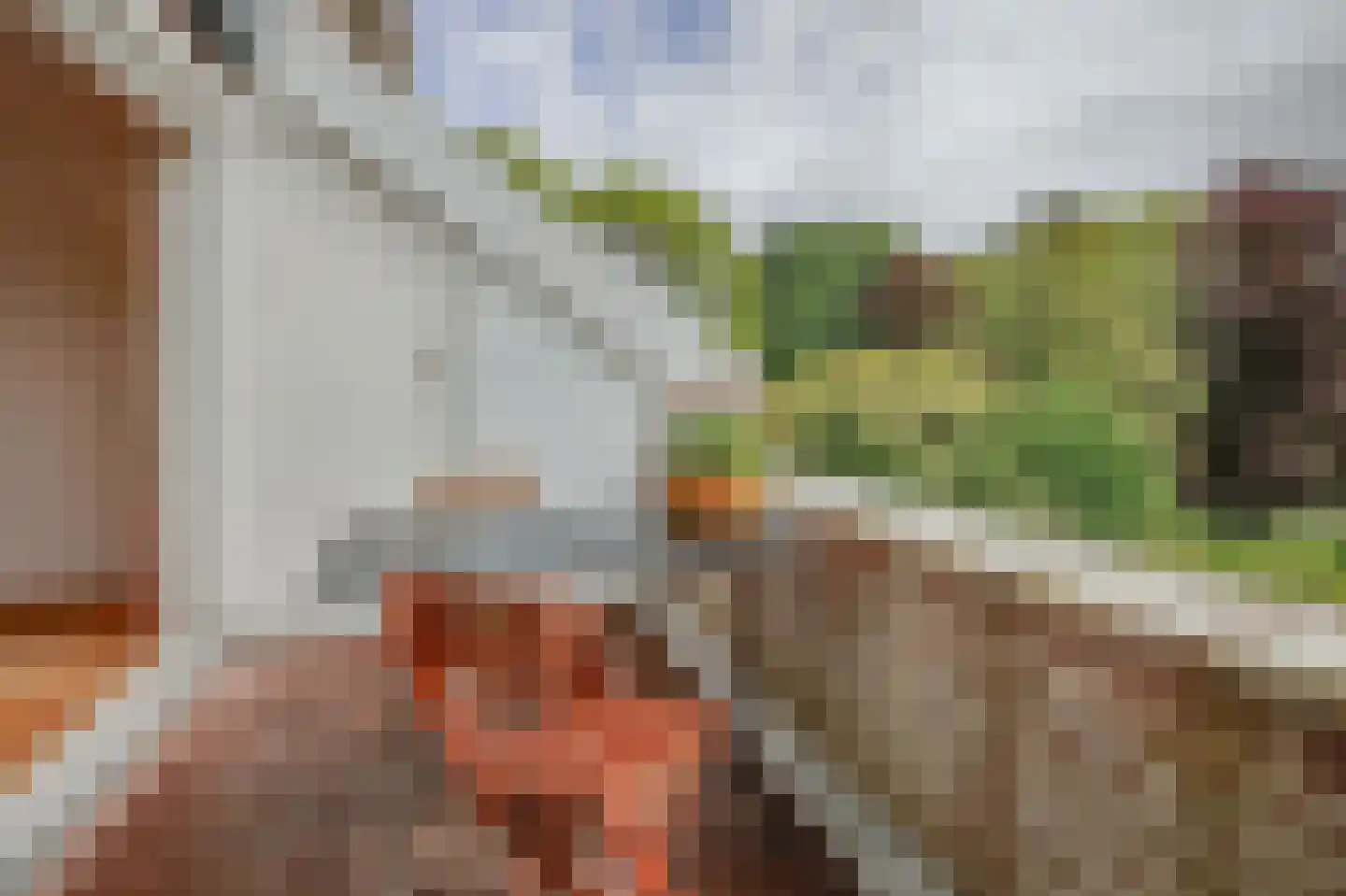 Houtzaagmolen 48 Hoorn thumbnail 13