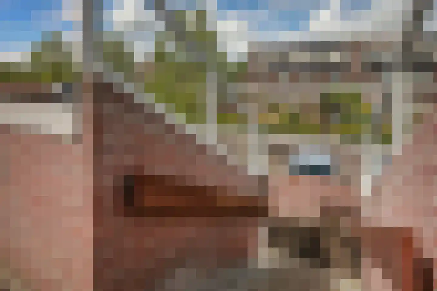 Houtzaagmolen 48 Hoorn thumbnail 37