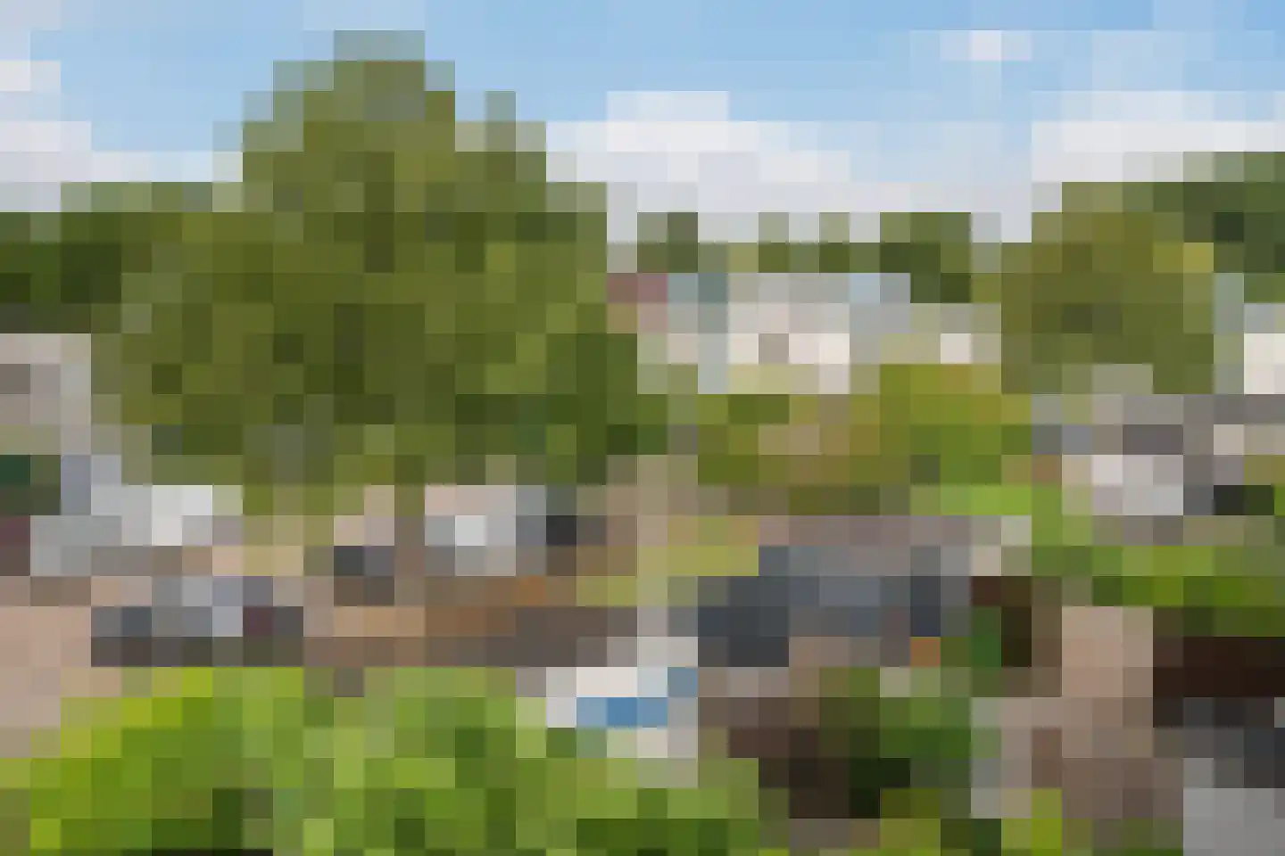 Houtzaagmolen 5 Maassluis thumbnail 40
