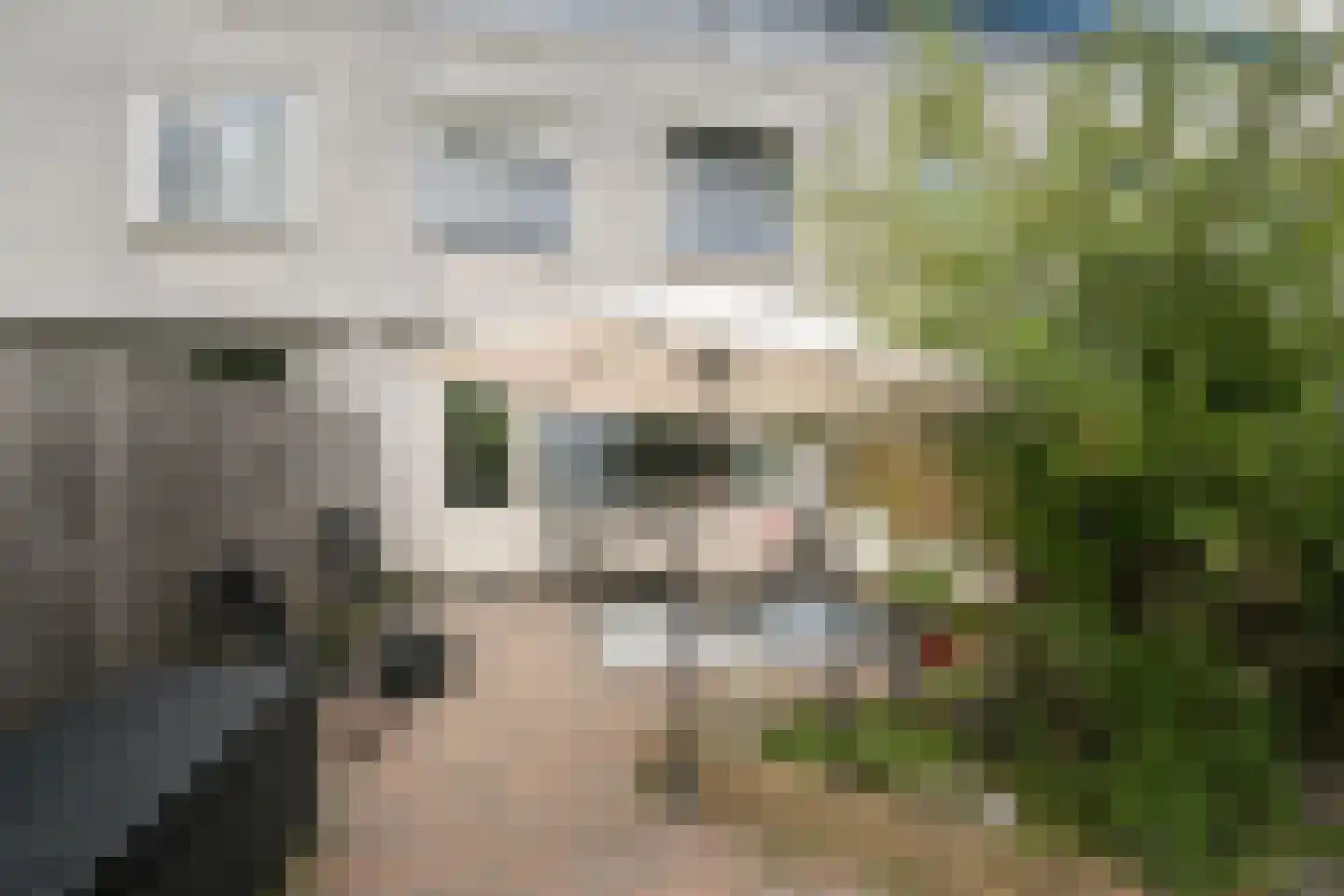 Houtzaagmolen 5 Maassluis thumbnail 6