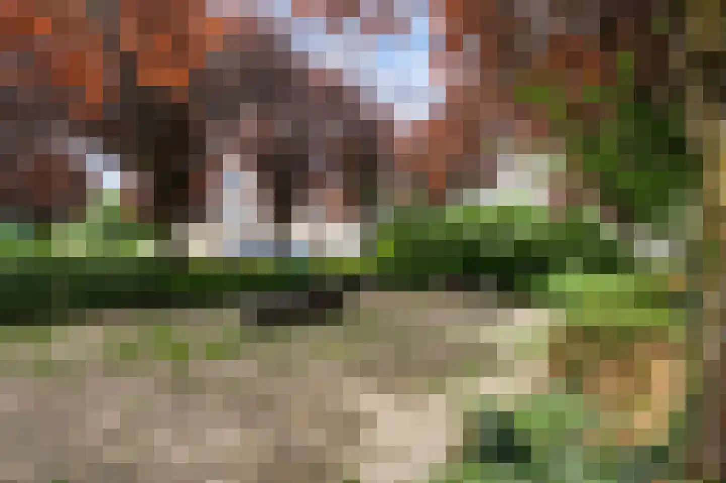 Houtzaagmolen 58 Weert thumbnail 25