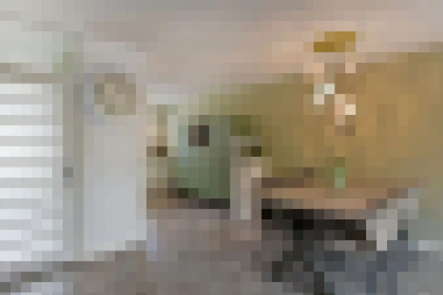 Houtzaagmolen 77 Mijdrecht thumbnail 6