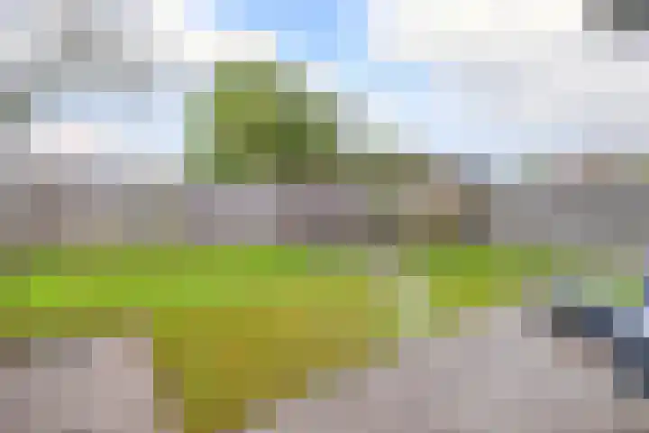 Houtzaagmolen 8 Drachten thumbnail 15