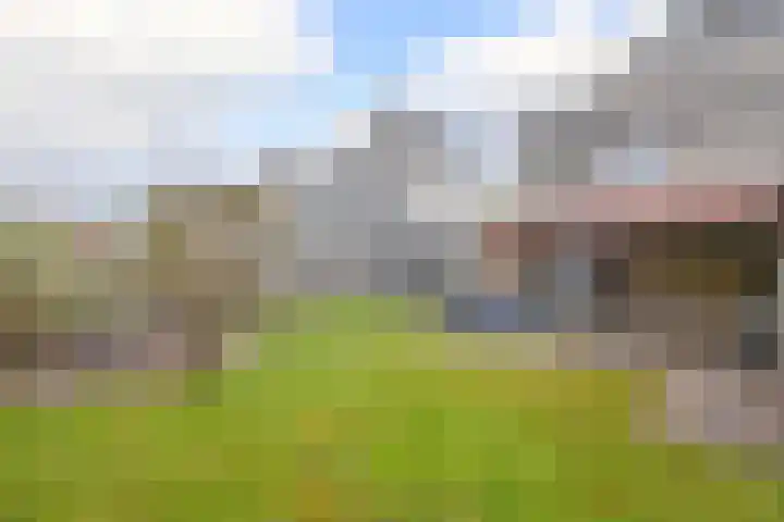 Houtzaagmolen 8 Drachten thumbnail 16