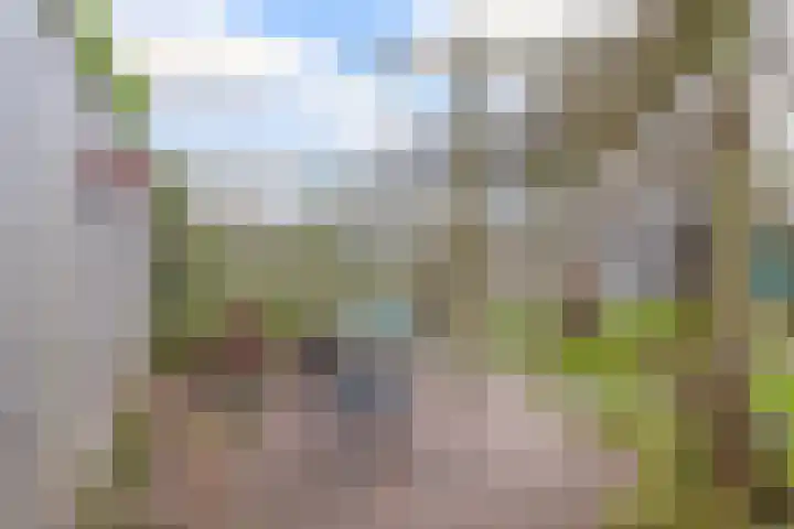 Houtzaagmolen 8 Drachten thumbnail 17