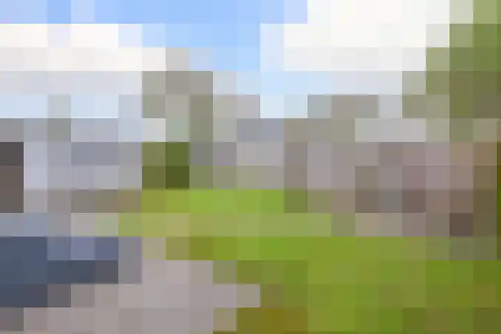 Houtzaagmolen 8 Drachten thumbnail 18