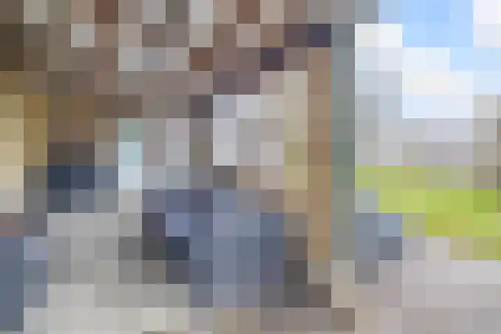 Houtzaagmolen 8 Drachten thumbnail 19