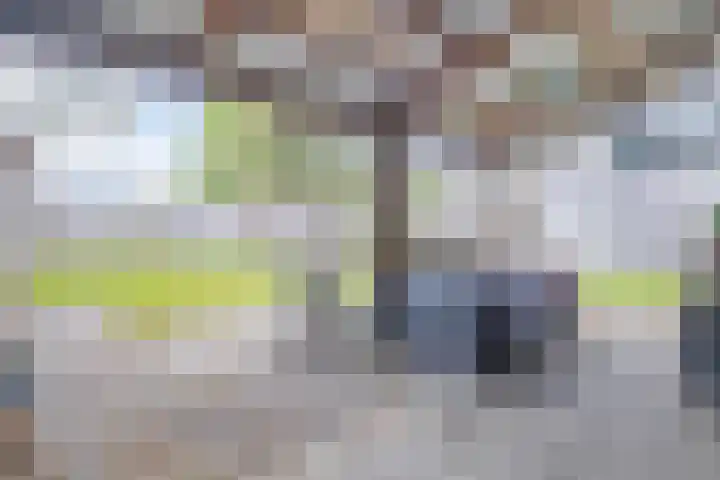 Houtzaagmolen 8 Drachten thumbnail 20