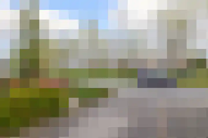 Houtzaagmolen 8 Drachten thumbnail 33