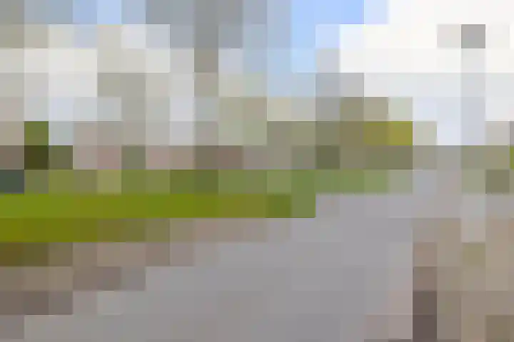 Houtzaagmolen 8 Drachten thumbnail 34