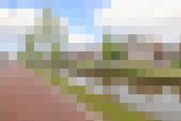 Houtzaagmolen 8 Drachten thumbnail 35