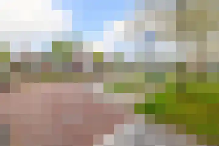 Houtzaagmolen 8 Drachten thumbnail 37