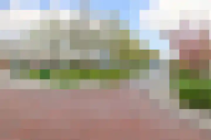 Houtzaagmolen 8 Drachten thumbnail 38
