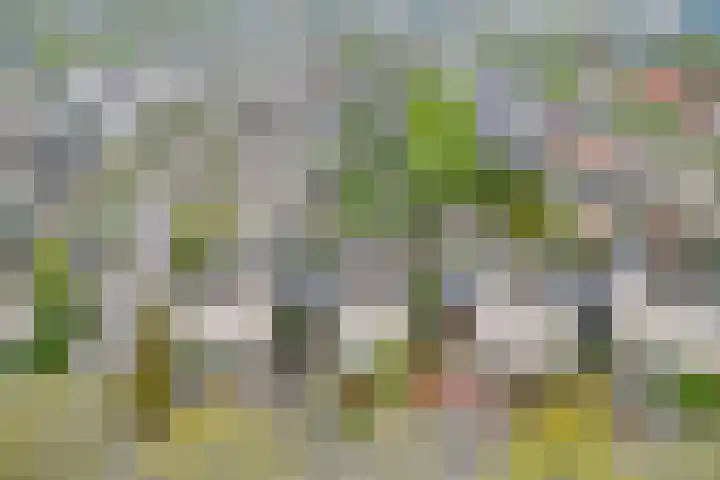Houtzaagmolen 8 Drachten thumbnail 39