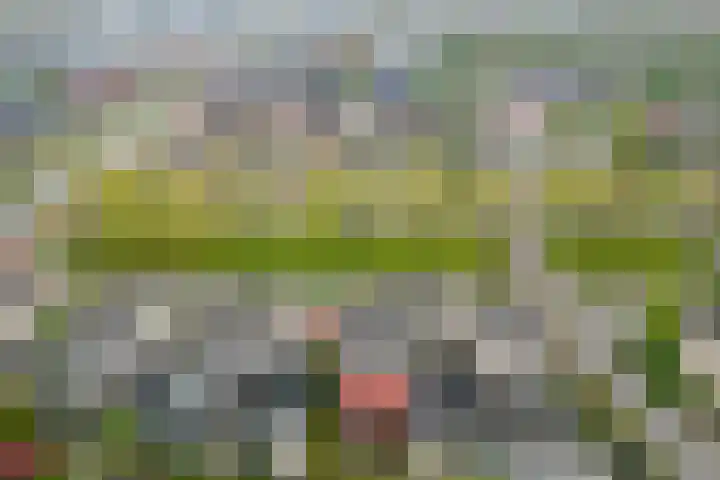 Houtzaagmolen 8 Drachten thumbnail 42