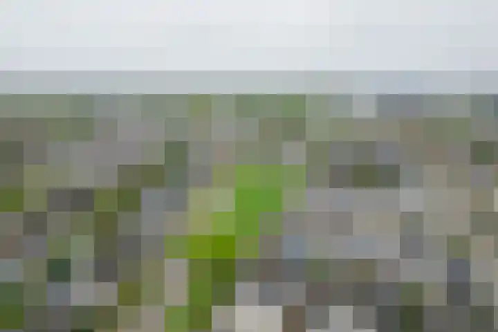 Houtzaagmolen 8 Drachten thumbnail 43