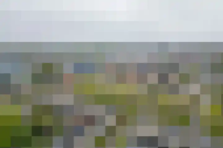 Houtzaagmolen 8 Drachten thumbnail 44
