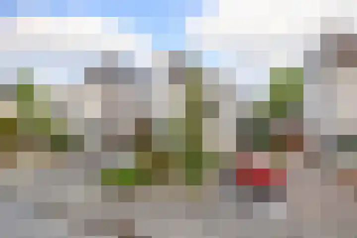 Houtzaagmolen 8 Drachten thumbnail 47
