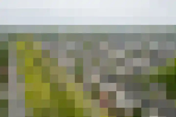 Houtzaagmolen 8 Drachten thumbnail 48