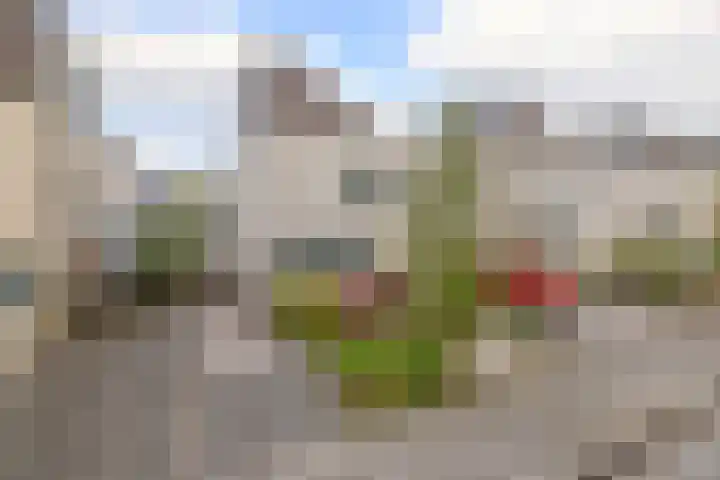 Houtzaagmolen 8 Drachten thumbnail 5