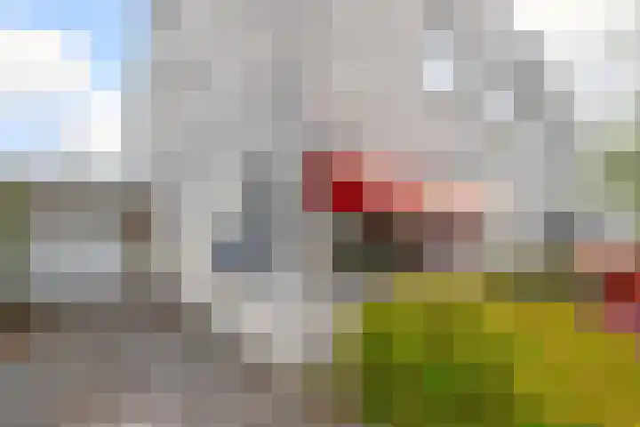 Houtzaagmolen 8 Drachten thumbnail 6