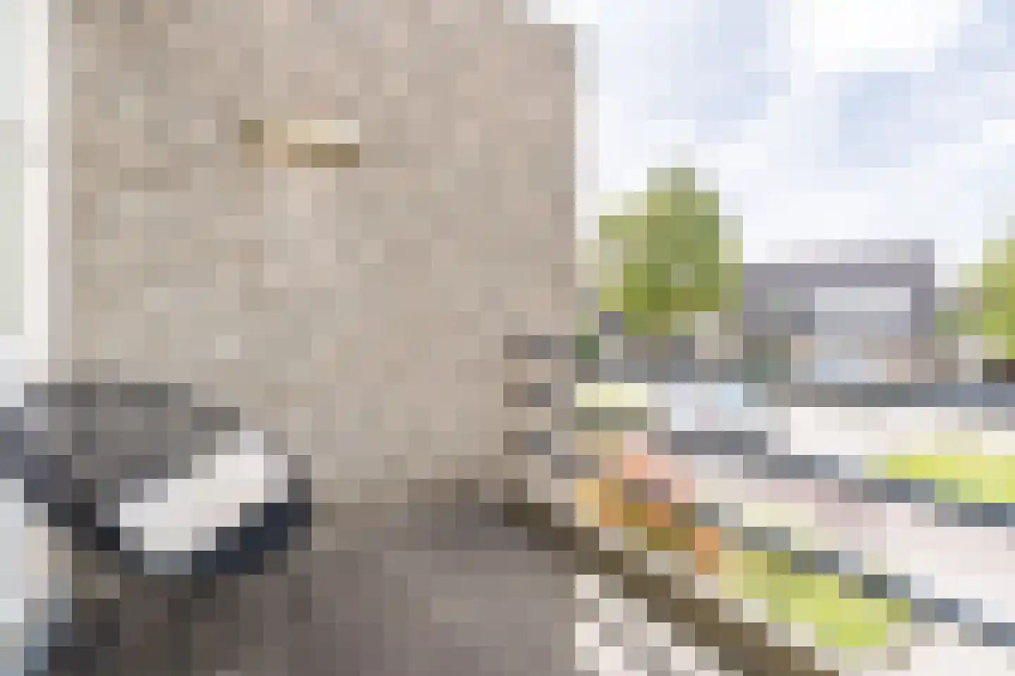 Houtzaagmolen 8 Weert thumbnail 38