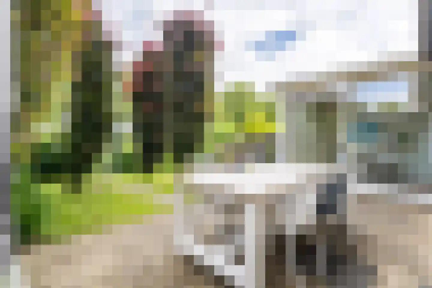 Houtzaagmolen 8 Weert thumbnail 4
