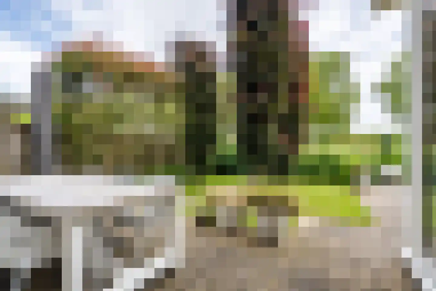 Houtzaagmolen 8 Weert thumbnail 43