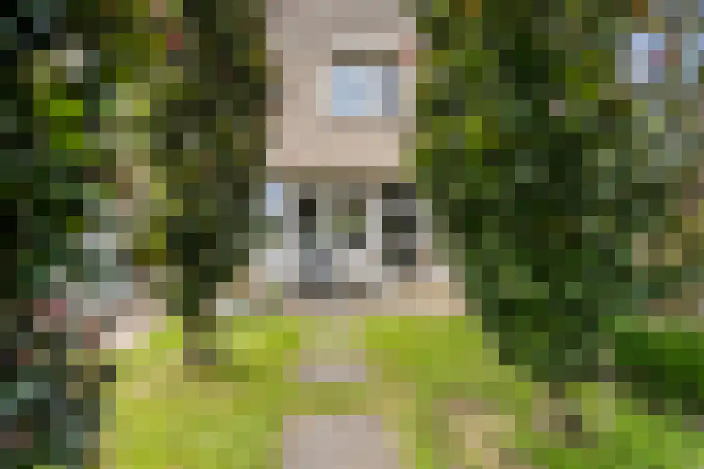 Houtzaagmolen 8 Weert thumbnail 45