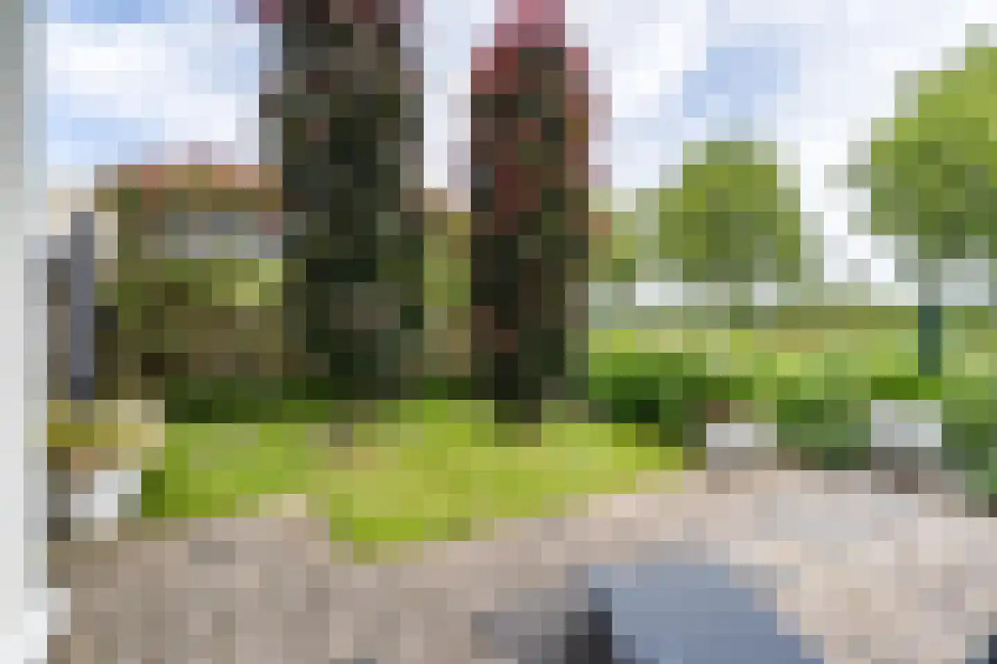 Houtzaagmolen 8 Weert thumbnail 46