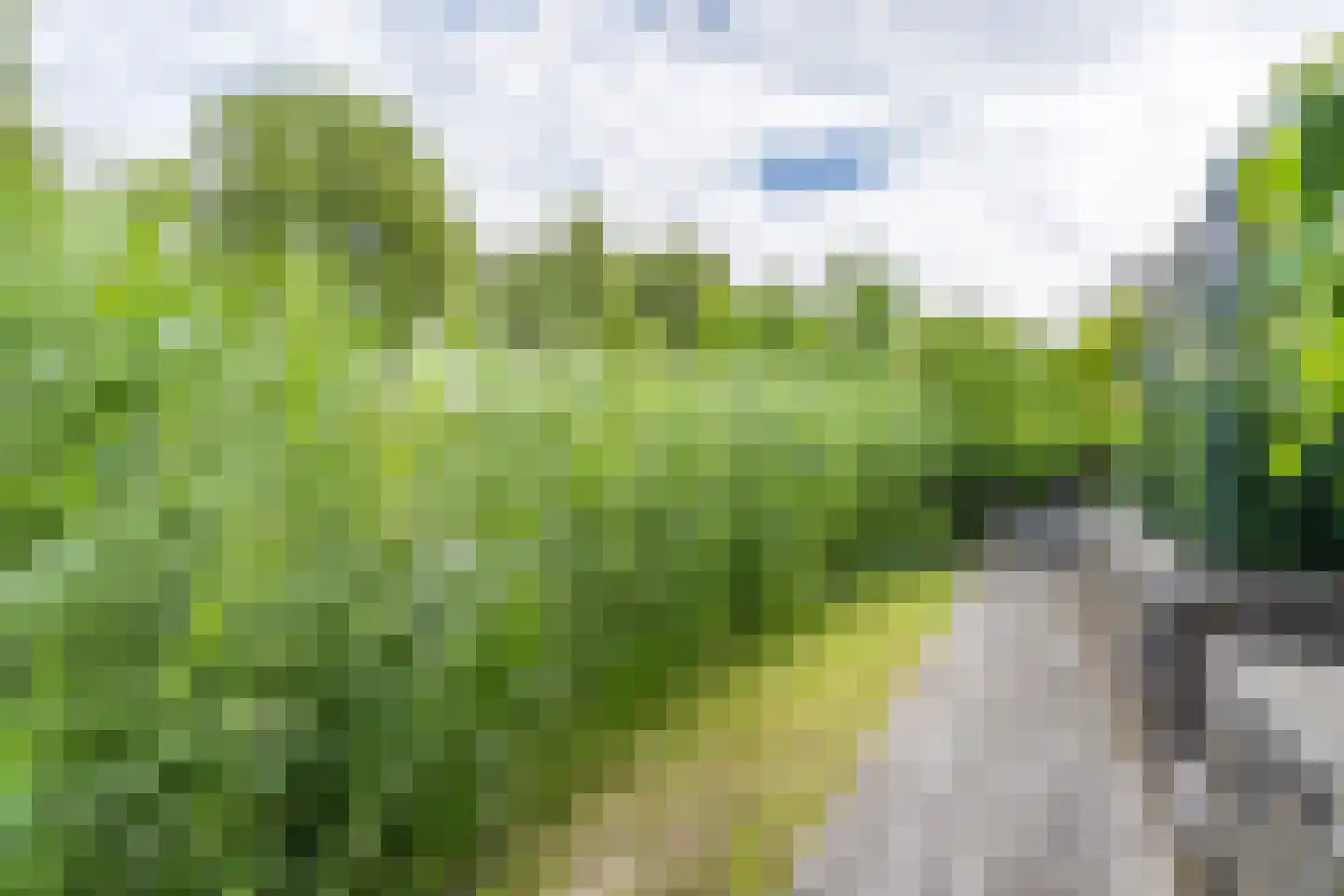 Houtzaagmolen 8 Weert thumbnail 47