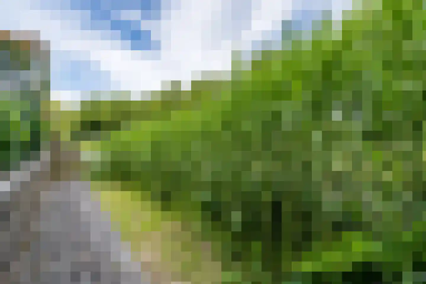 Houtzaagmolen 8 Weert thumbnail 48