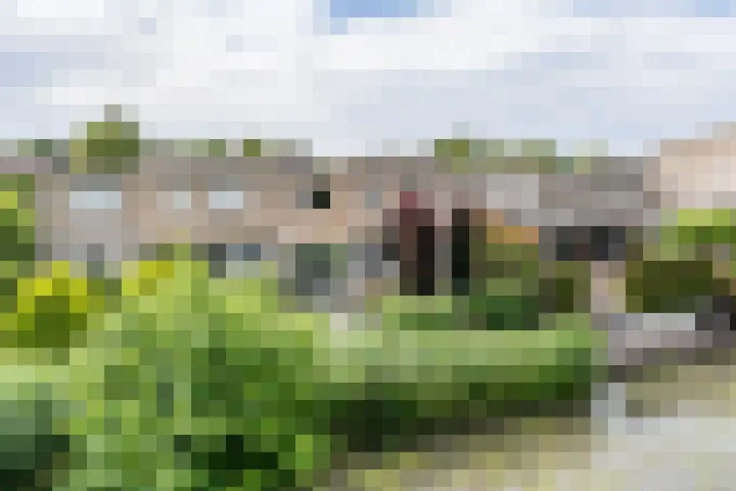 Houtzaagmolen 8 Weert thumbnail 5
