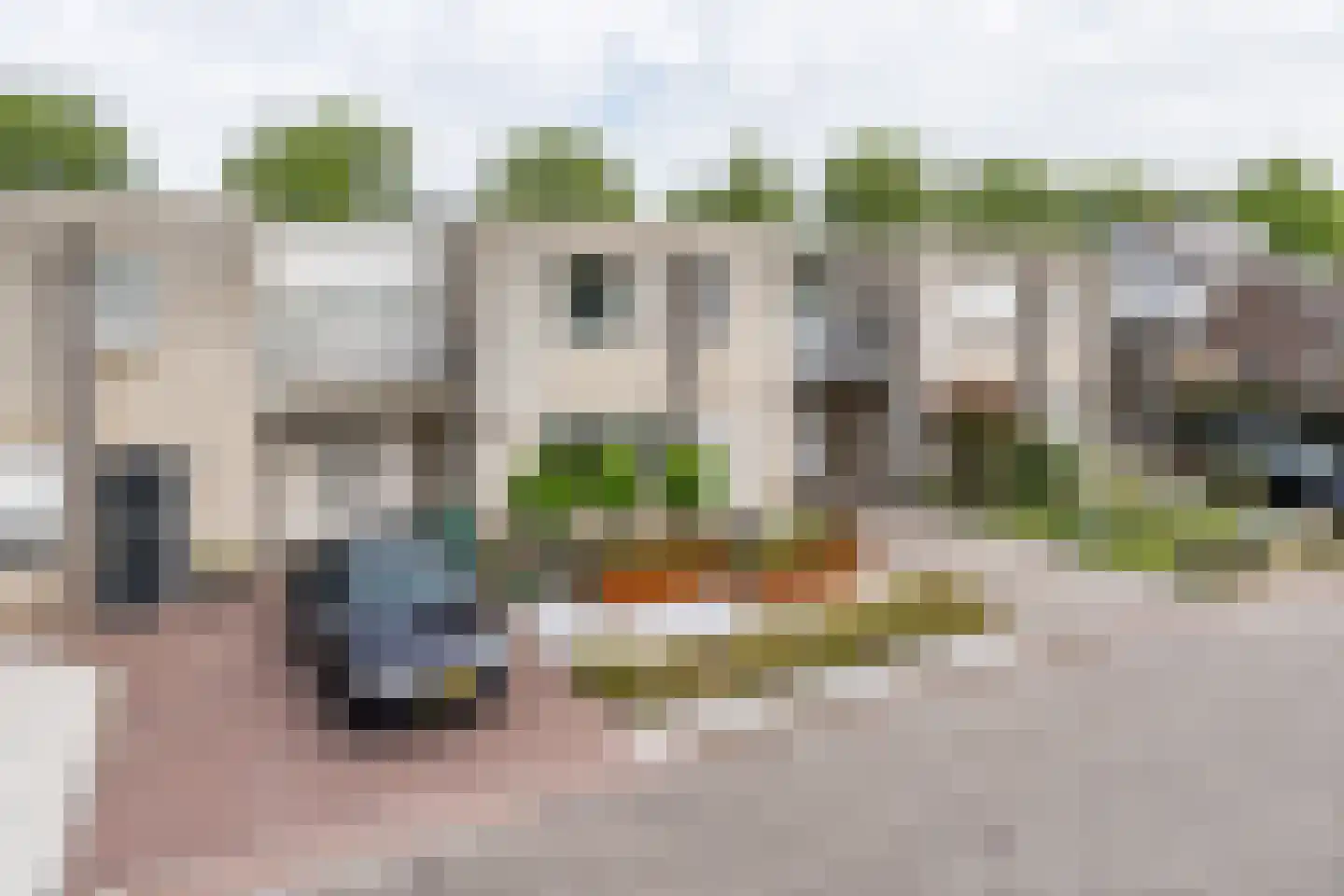 Houtzaagmolen 8 Weert thumbnail 50