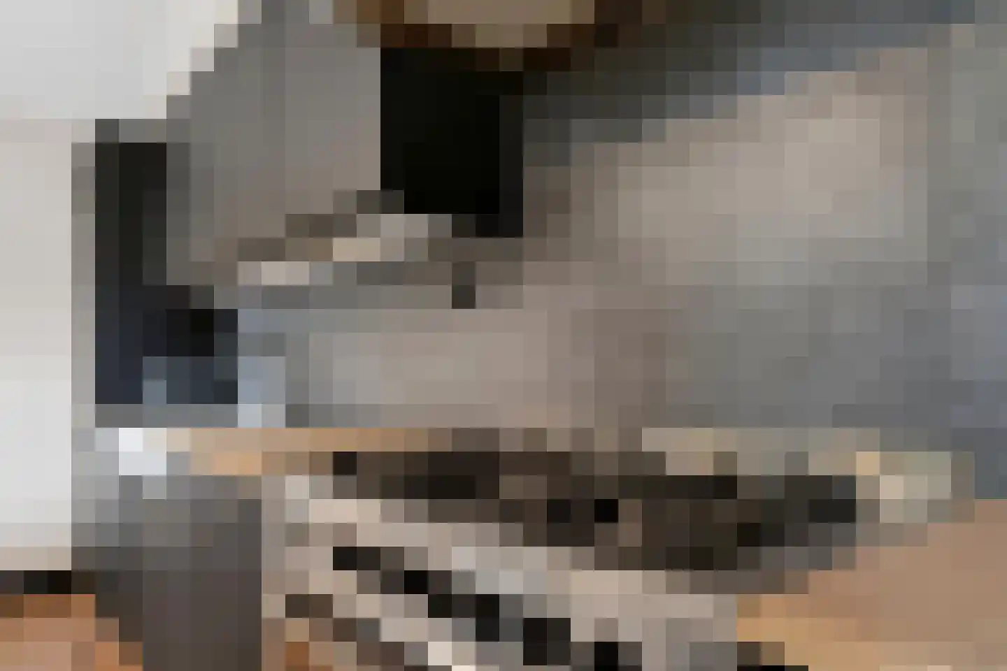 Houtzaagmolensingel 75 Bovenkarspel thumbnail 20