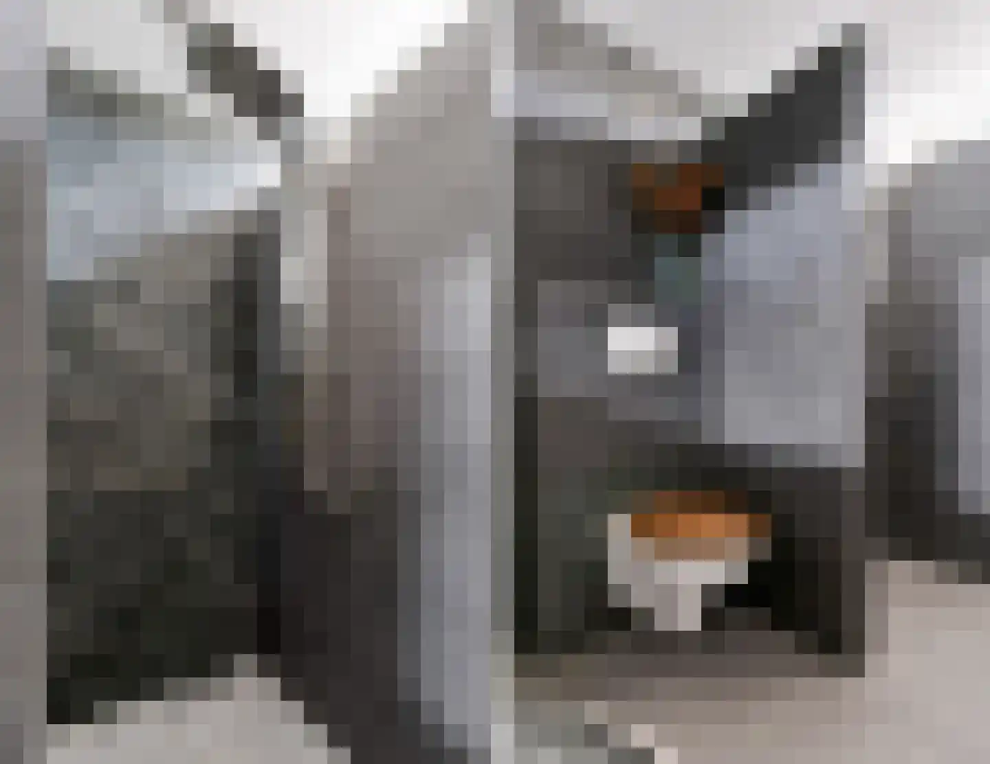 Houtzaagmolensingel 75 Bovenkarspel thumbnail 33