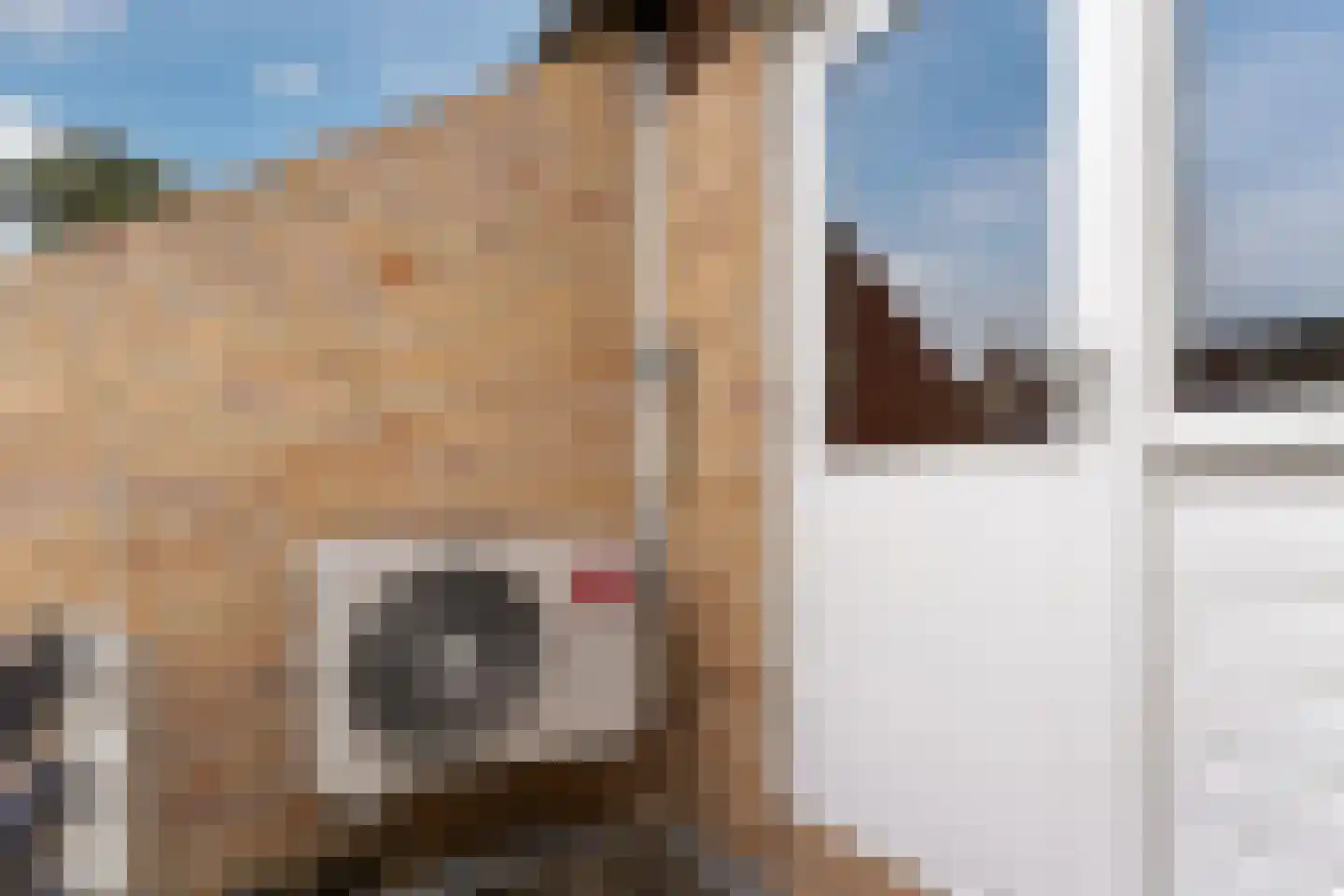 Houtzaagmolensingel 75 Bovenkarspel thumbnail 35