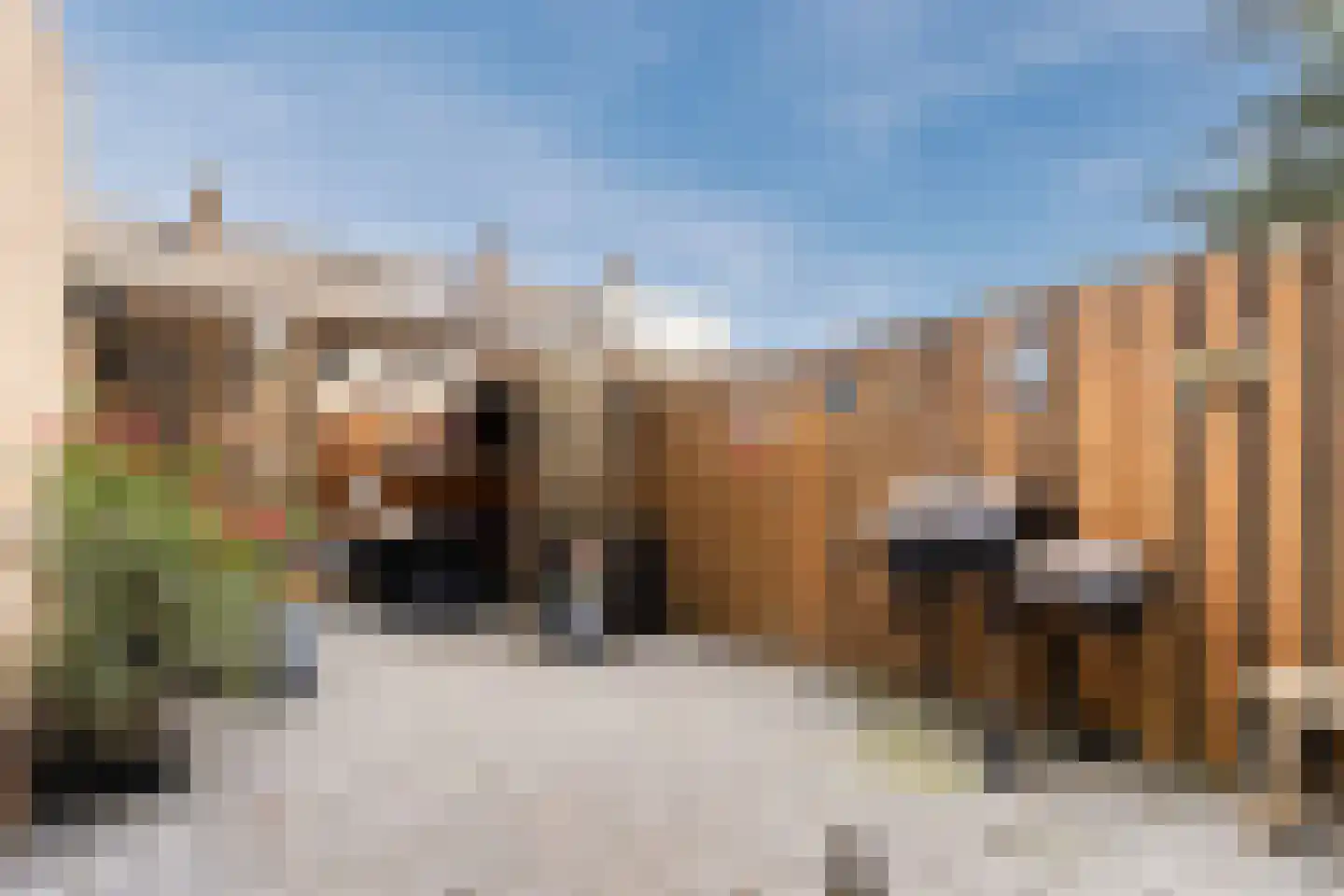 Houtzaagmolensingel 75 Bovenkarspel thumbnail 46