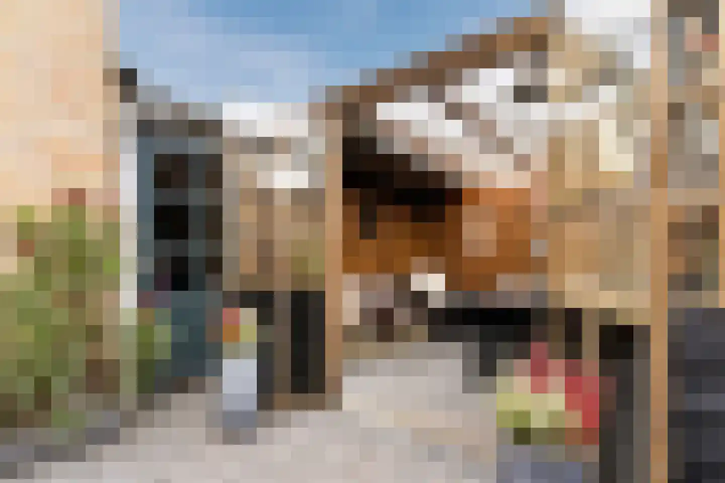 Houtzaagmolensingel 75 Bovenkarspel thumbnail 47