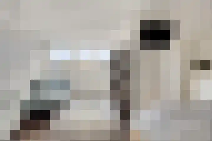 Houtzaagmolensingel 81 Bovenkarspel thumbnail 32